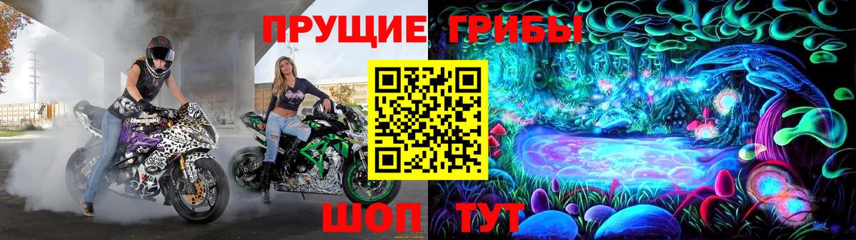 Галлюциногенные грибы GOLDEN TEACHER Удомля