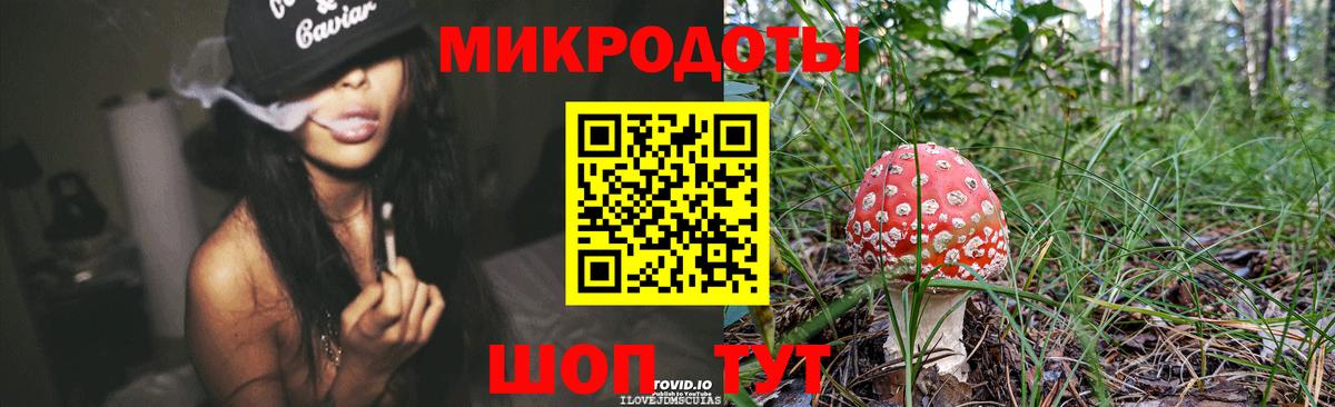 Удомля  Галлюциногенные грибы Psilocybine cubensis  Вход с VPN 